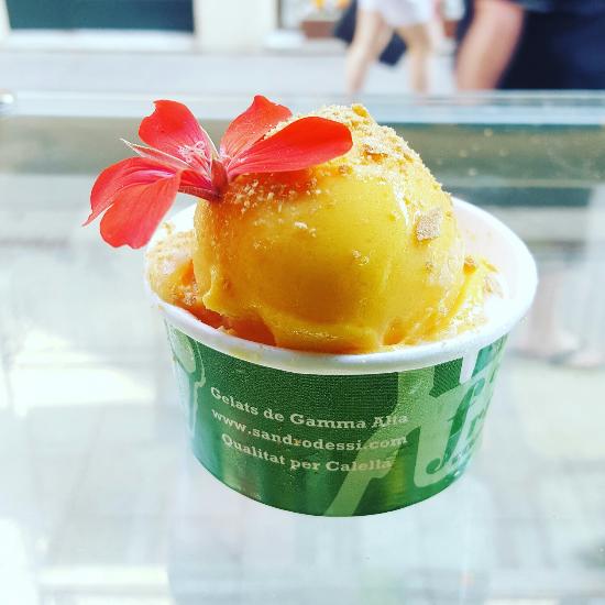 Capriccio Freddo (Helados De Alta Calidad)