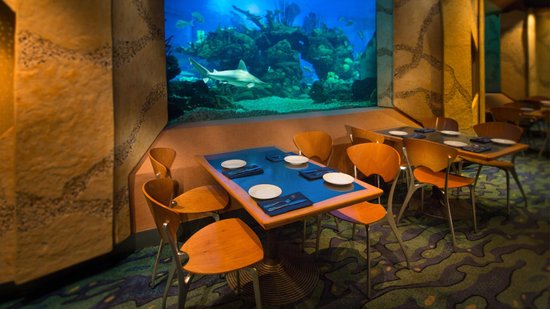 Heladería Acuario